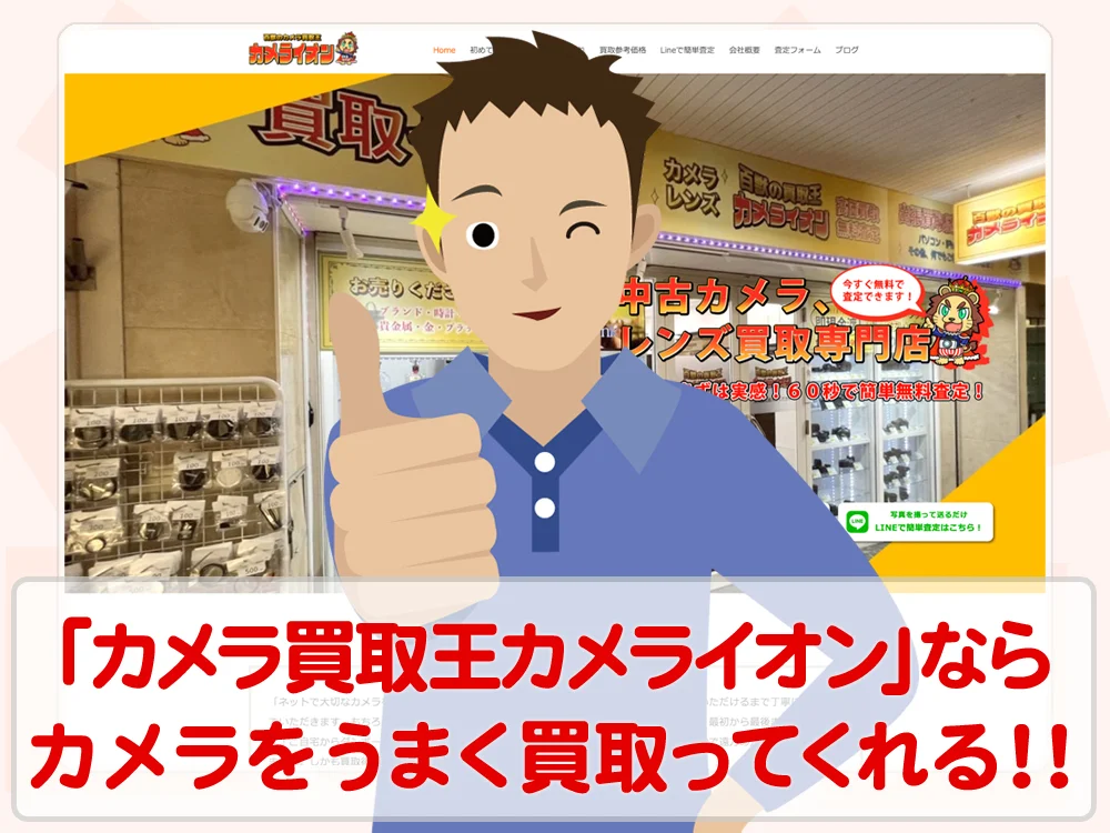 カメライオンが素晴らしい